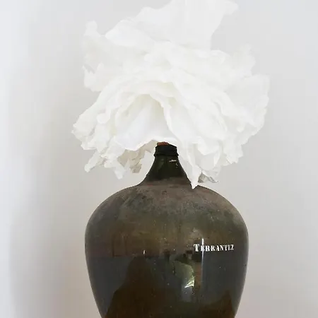 Good Memories Appartamento *